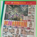 강릉가교공인중개사사무소 이미지