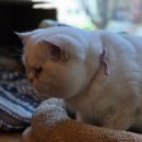 집사의하루 남포점 이미지