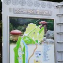 양구 두타연,수목원걷기(7월20일,화) 이미지