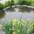 솔로몬 펜션 이미지