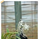 숲속건강나라 이미지