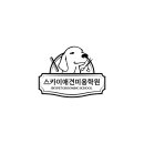스카이 애견 이미지