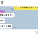 라슈 이미지