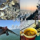 그늘막52 | 서산 삼길포항 뉴항구호 | 금어기 해제! 쭈꾸미낚시 출조 후기 (feat 갑오징어)
