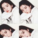 이태리 이미지