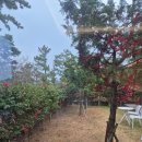 제주서가 이미지