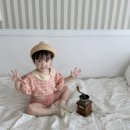 풀레브(PULEV)