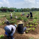 수원농장 이미지