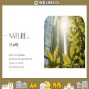 의료법인 정안의료재단 중앙병원 이미지