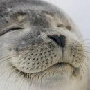 (주)고운벗 이미지