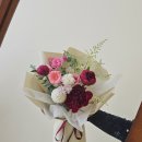 로지 데이즈