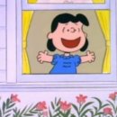 불끈낙지&보쌈 이미지