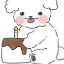 마장동 다대포점 네이버블로그