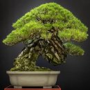 다문초등학교 이미지