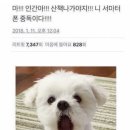 명가가빈
