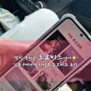 캠핑 준비는 도쿄비드에서! 일본구매대행 사이트 도쿄비드 후기