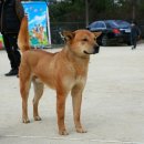 하나로 클럽 이미지