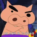 더원짐대치 이미지