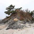 청포대 별주부 이미지