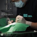 더행복한치과의원 이미지