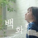 백화향 (百花香, 바이화샹, 오만 꽃의 향기) - 웨이신위 (魏新雨) 이미지