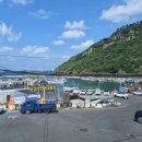 바이킹 | 제주도 배낚시 체험 후기｜바이킹배낚시 with 차귀점, 돌고래까지 만난 날 🐬🎣