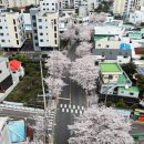 효돈동-4 이미지