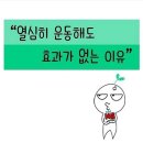 더블에스짐 이미지