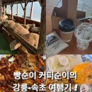 강릉 당일치기같은 1박2일 여행코스/리얼후기 추천 !