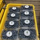 용달농장 이미지