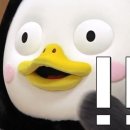 김서방네곱창볶음 이미지