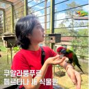 [말레이시아/쿠알라룸푸르] 페르다나 새 식물원 후기 및 가격, 너-무 더워요!