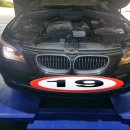 다나모터스 이미지