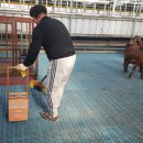 재필농장 이미지