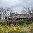 한옥마을주유소 | 전주 글램핑추천 캠프히어 G-3 너무 좋았슴