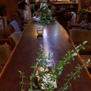 도암흑염소 이미지