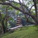 대원사계곡 이미지