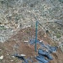 부귀농장 이미지