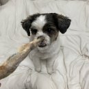 백씨네가든 이미지