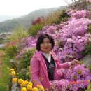 흰돌녹색농촌체험마을 이미지