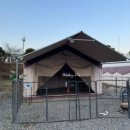 Tree Pet(트리펫) 이미지