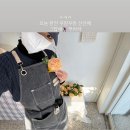 지니플레르