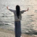 꽃 노래방 이미지