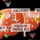 큐리농장 이미지