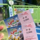 2025년 함평나비축제 요금 및 방문 후기 [ 메리미 진주플 ]
