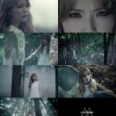 혜미비디오 이미지