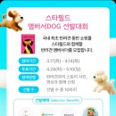 아이DOG | [하남스타필드] DB손해보험 X 스타필드 앰버서독(DOG) 페스타 팝업 체험 후기
