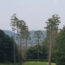 아워홈솔모로CC직원식당여주점 | 솔모로CC 라운딩 후기 — 도전이 즐거운 명문, 애착구장 등록
