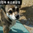 용산-후암-614 이미지
