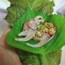 대어횟집 이미지